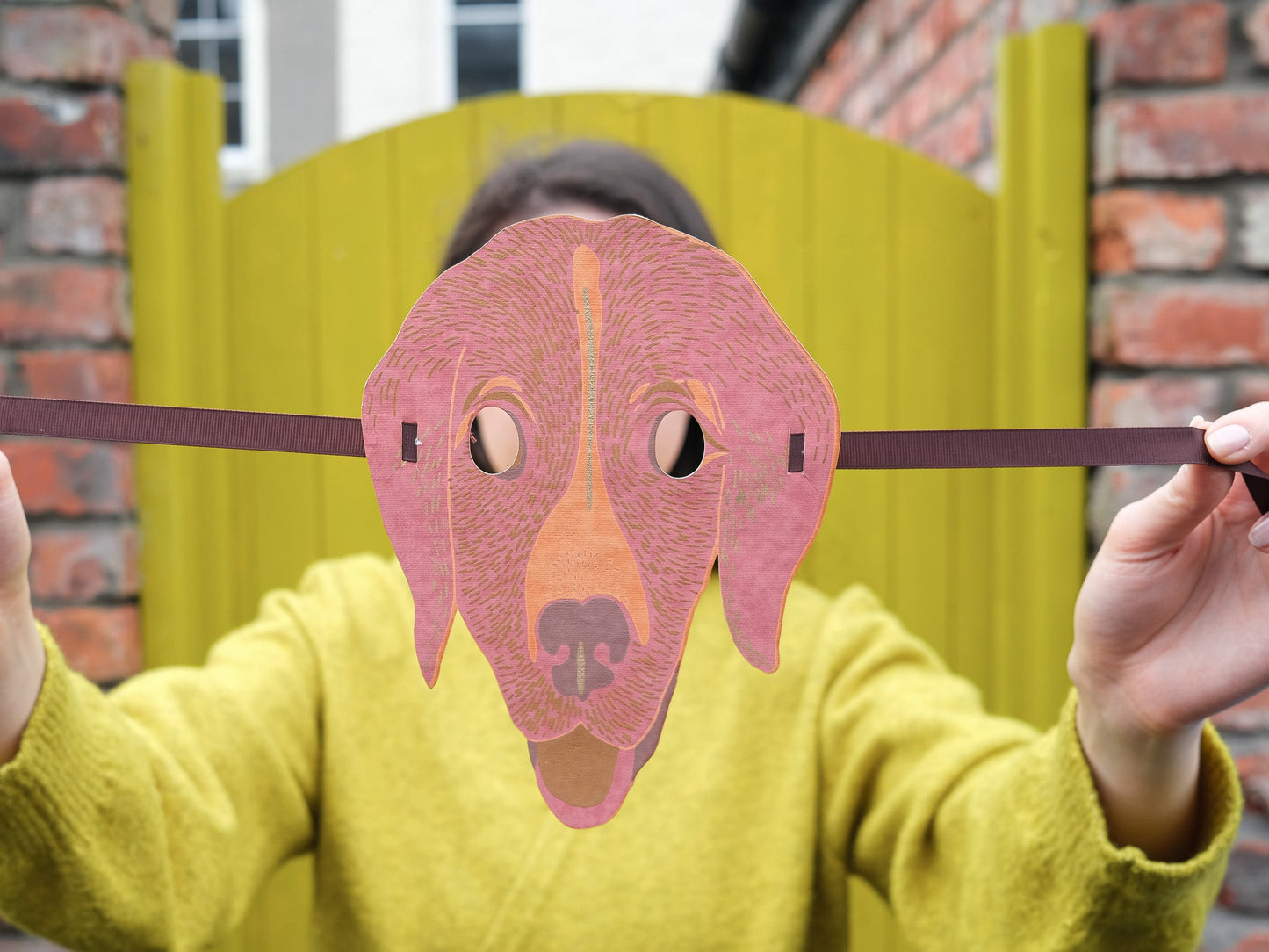 Animals Fancy Dress Mask Set