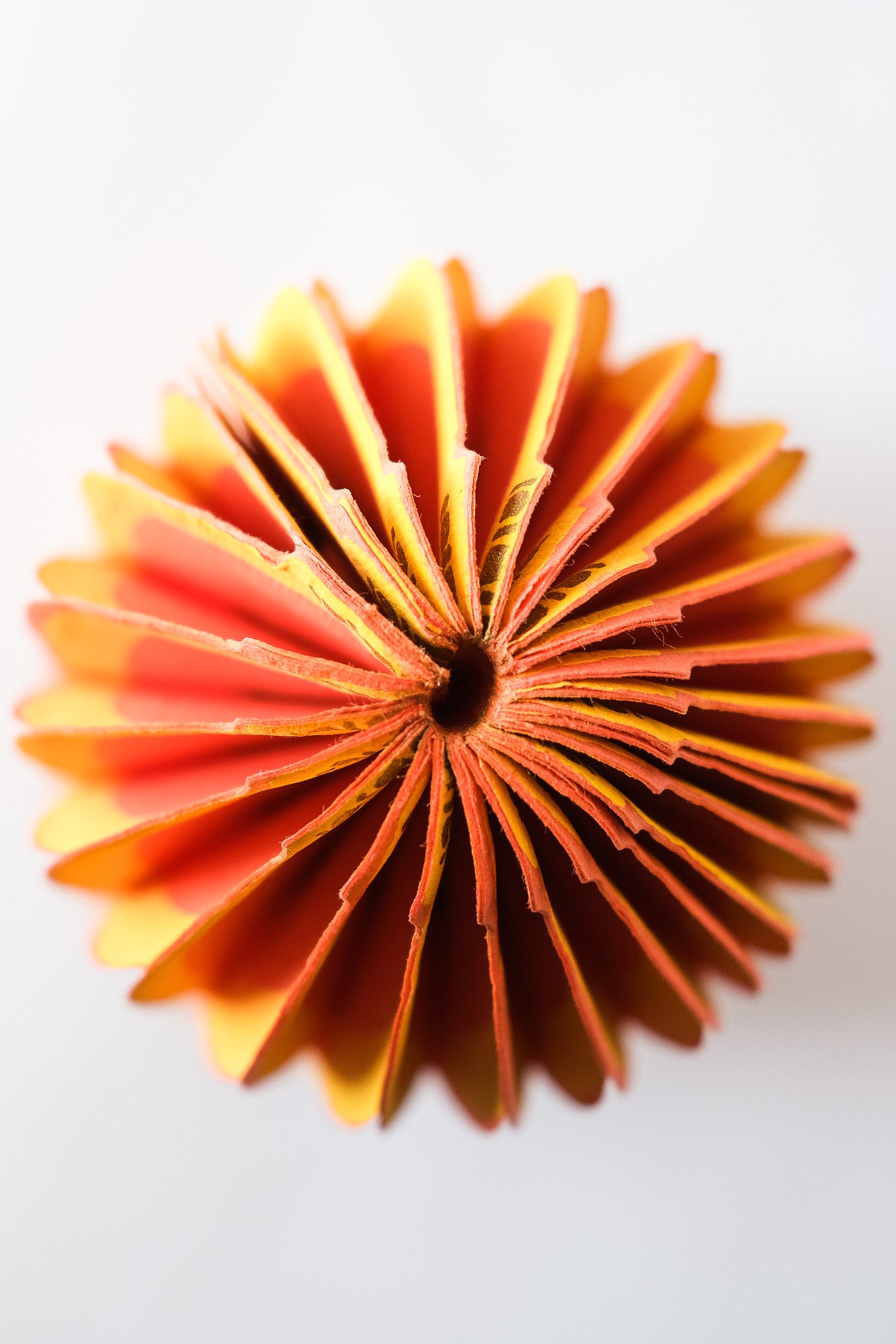Squash Honeycomb