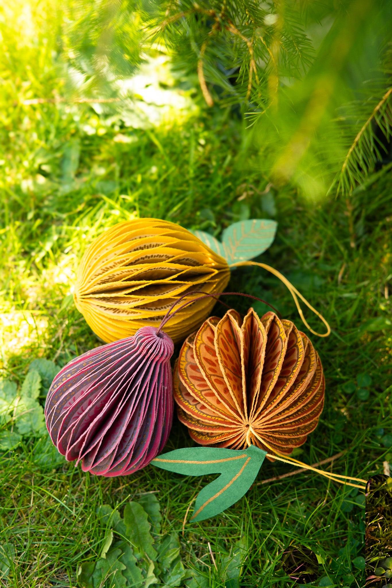 Fig Honeycomb