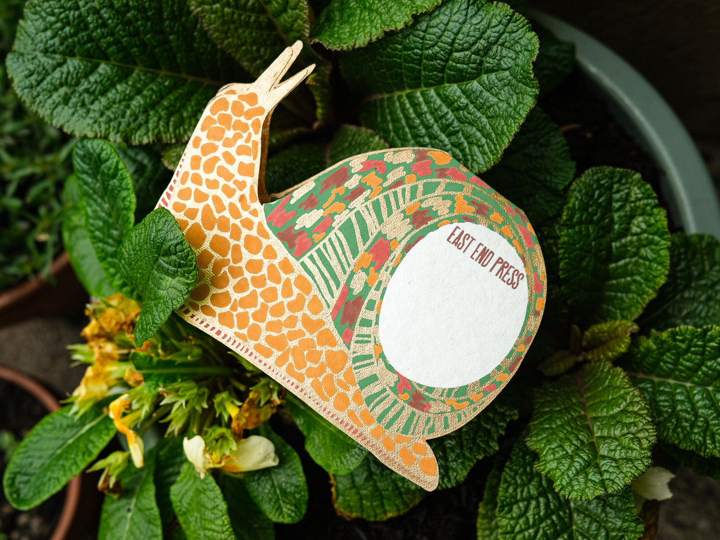 Snail Greeting Card