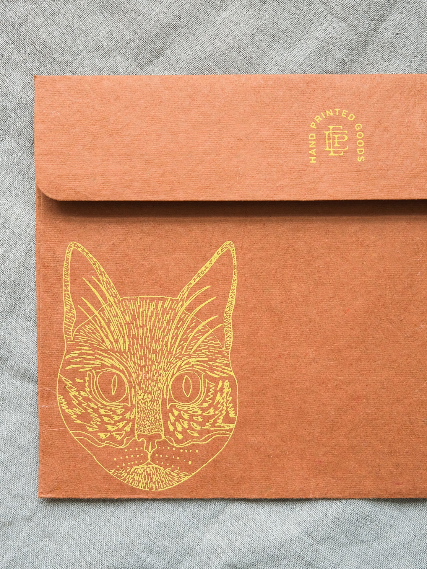 Cat Mask Greeting Card