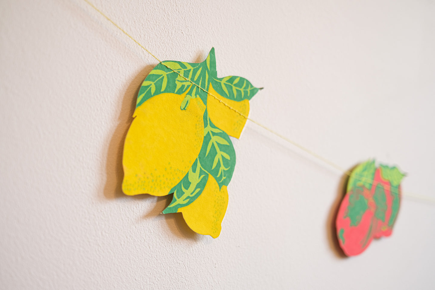 Fruit Sewn Garland