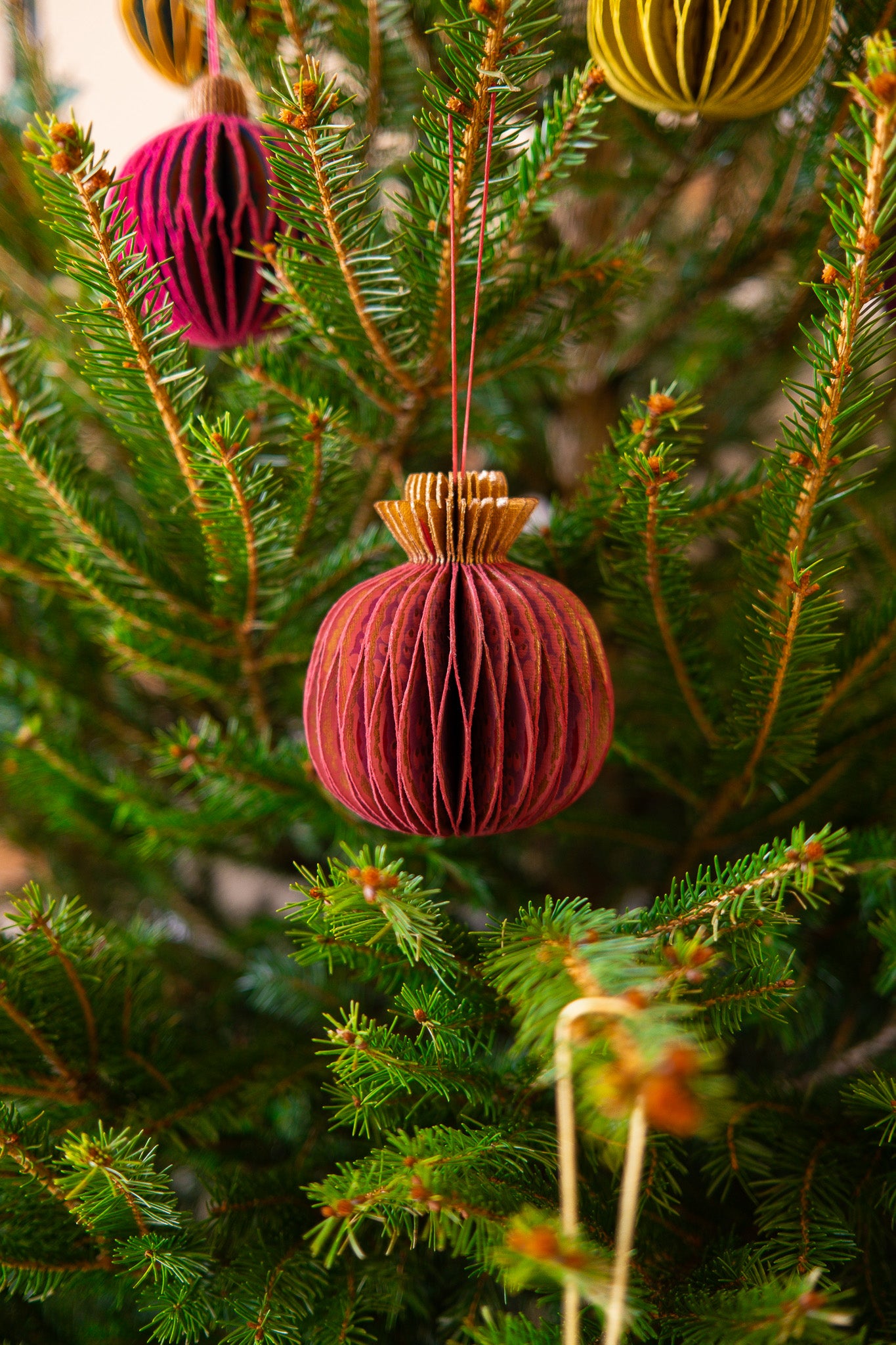 Pomegranate Honeycomb