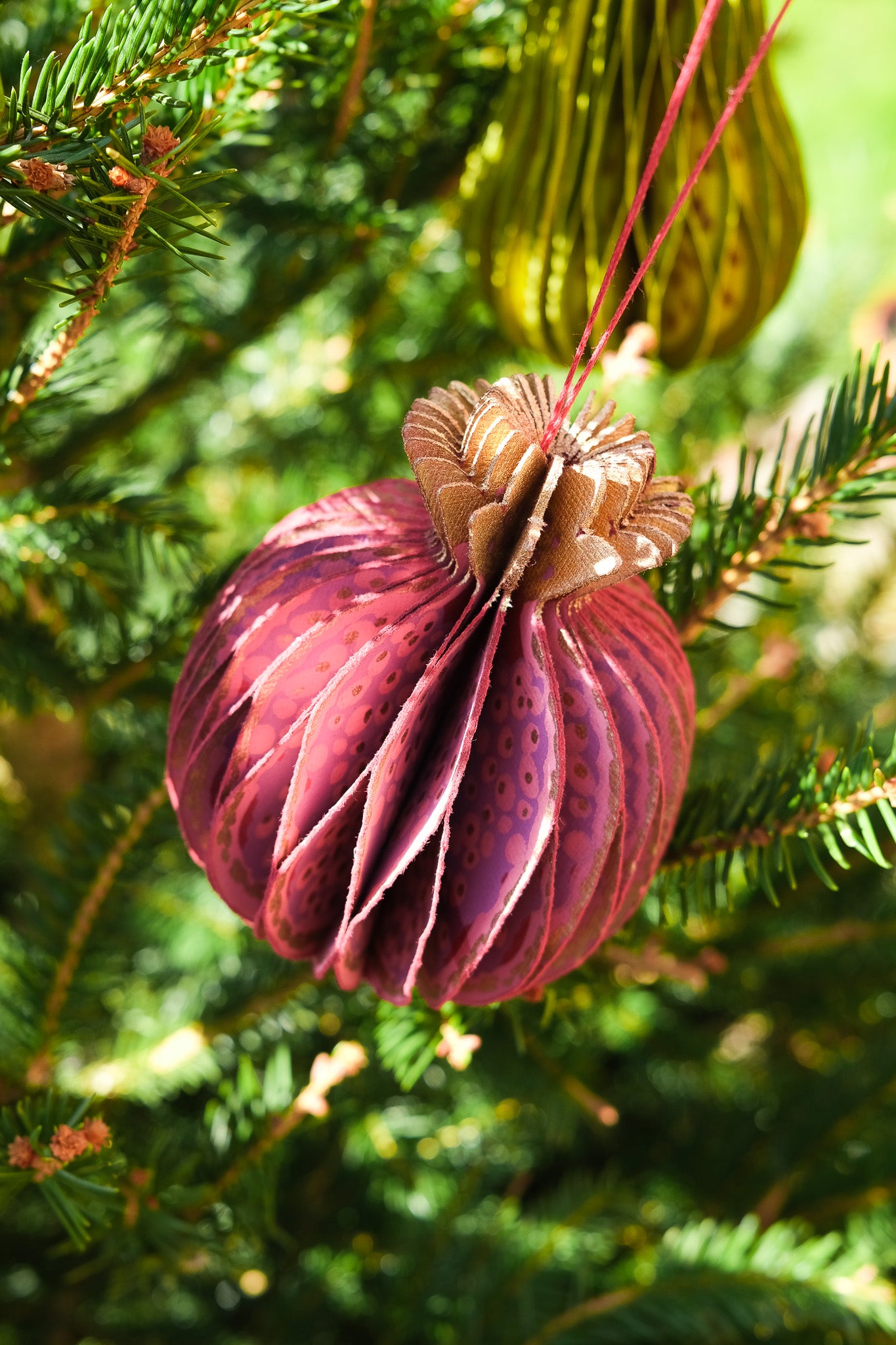 Pomegranate Honeycomb